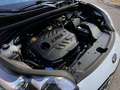Kia Sportage 1.6 MHEV Business DCT 4x2 136 - thumbnail 12