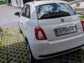 Fiat 500 500 FireFly Hybrid Weiß - thumbnail 4