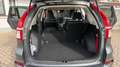 Honda CR-V CR-V 1,6i-DTEC Lifestyle 4WD Aut. Lifestyle Grau - thumbnail 11