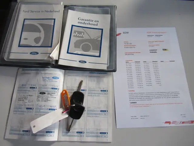 Ford Fiesta view 14