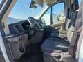 Ford Transit 7 posti ribaltabile Bianco - thumbnail 5