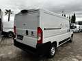 Fiat Ducato 2.2 Mjt L2 H1 PM -TN FURGONE Blanco - thumbnail 5