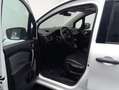 Renault Kangoo LIFE EDITION ONE 1.5 BLUE DCI 70KW 95CV Blanco - thumbnail 18