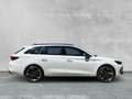 CUPRA Leon Sportstourer 2.0 TDI DSG MATRIX+SHZ+ACC+NAV Weiß - thumbnail 6