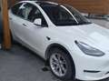 Tesla Model Y Model Y Long Range AWD 75kWh Weiß - thumbnail 2