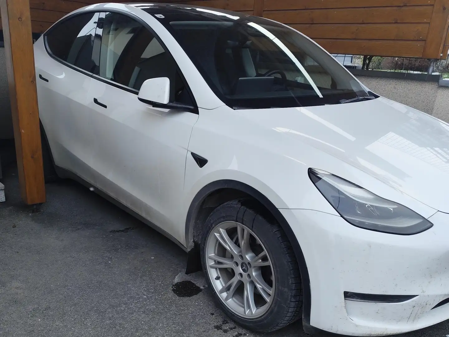 Tesla Model Y Model Y Long Range AWD 75kWh Weiß - 2