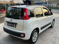 Fiat New Panda 1.3 mjt 16v Lounge Biały - thumbnail 7