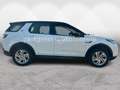 Land Rover Discovery Sport 2.0d*TÜV & SERVICE NEU* Weiß - thumbnail 6