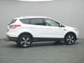 Ford Kuga Titanium 150PS Aut. 4x4 Weiß - thumbnail 45