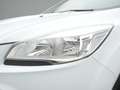 Ford Kuga Titanium 150PS Aut. 4x4 Weiß - thumbnail 29