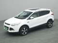 Ford Kuga Titanium 150PS Aut. 4x4 Weiß - thumbnail 16