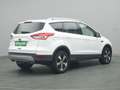 Ford Kuga Titanium 150PS Aut. 4x4 Weiß - thumbnail 4