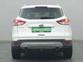 Ford Kuga Titanium 150PS Aut. 4x4 Weiß - thumbnail 7