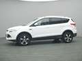 Ford Kuga Titanium 150PS Aut. 4x4 Weiß - thumbnail 39