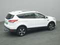 Ford Kuga Titanium 150PS Aut. 4x4 Weiß - thumbnail 34