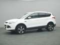 Ford Kuga Titanium 150PS Aut. 4x4 Weiß - thumbnail 27