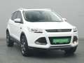 Ford Kuga Titanium 150PS Aut. 4x4 Weiß - thumbnail 36