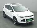 Ford Kuga Titanium 150PS Aut. 4x4 Weiß - thumbnail 25