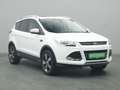 Ford Kuga Titanium 150PS Aut. 4x4 Weiß - thumbnail 24