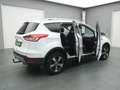 Ford Kuga Titanium 150PS Aut. 4x4 Weiß - thumbnail 41