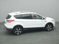 Ford Kuga Titanium 150PS Aut. 4x4 Weiß - thumbnail 46