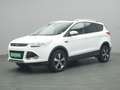 Ford Kuga Titanium 150PS Aut. 4x4 Weiß - thumbnail 2