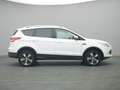 Ford Kuga Titanium 150PS Aut. 4x4 Weiß - thumbnail 8