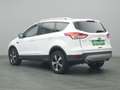 Ford Kuga Titanium 150PS Aut. 4x4 Weiß - thumbnail 18