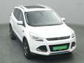 Ford Kuga Titanium 150PS Aut. 4x4 Weiß - thumbnail 37