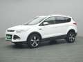 Ford Kuga Titanium 150PS Aut. 4x4 Weiß - thumbnail 15
