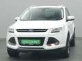 Ford Kuga Titanium 150PS Aut. 4x4 Weiß - thumbnail 48