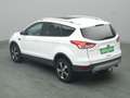 Ford Kuga Titanium 150PS Aut. 4x4 Weiß - thumbnail 19