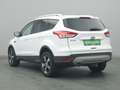Ford Kuga Titanium 150PS Aut. 4x4 Weiß - thumbnail 30