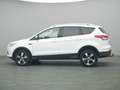 Ford Kuga Titanium 150PS Aut. 4x4 Weiß - thumbnail 3