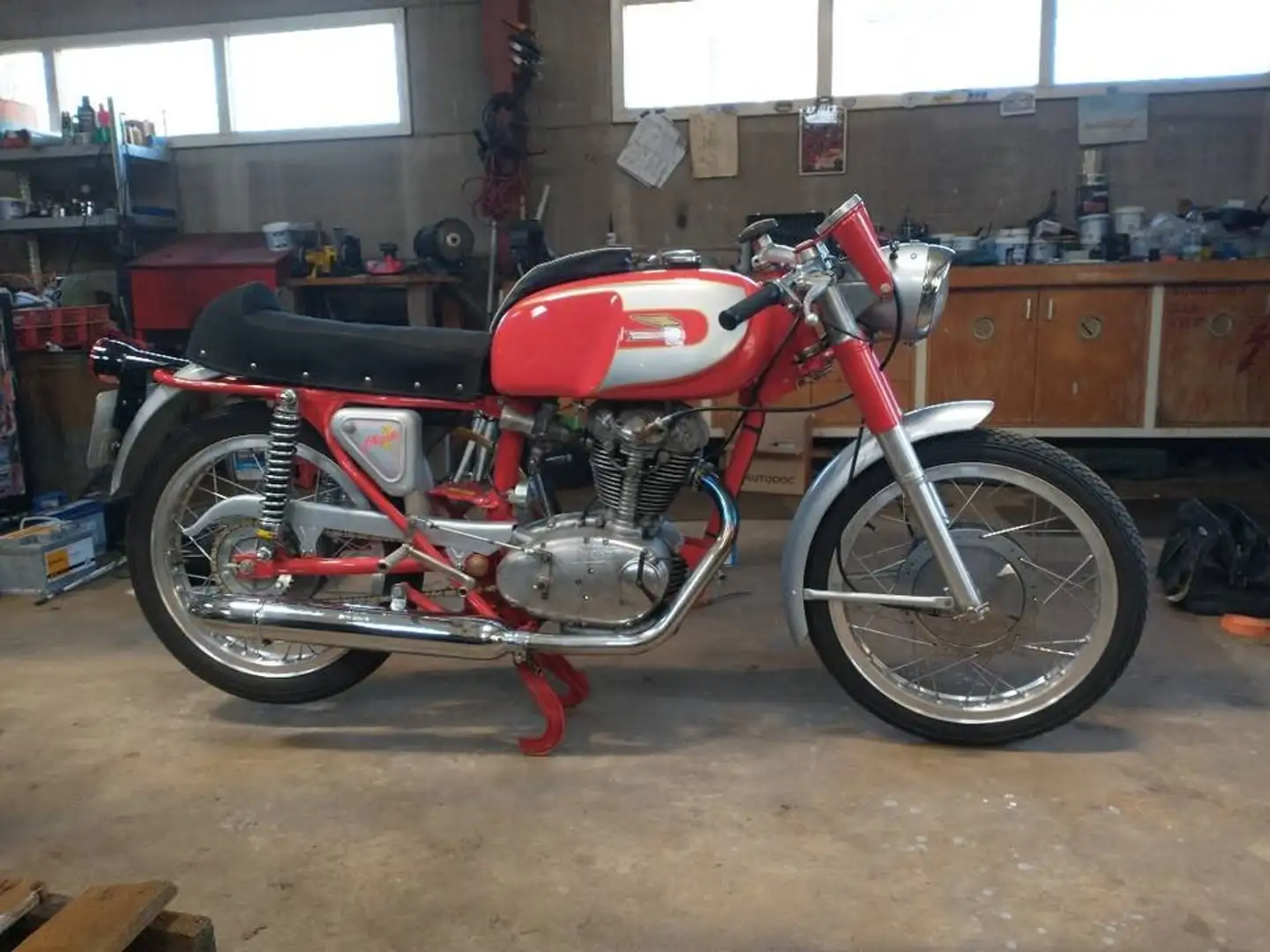 Ducati 250 Mark 3 Rojo - 1