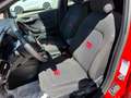 Ford Fiesta Fiesta VII 2022 5p 5p 1.0 ecoboost h ST-Line 125cv Rouge - thumbnail 12