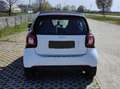 smart forTwo Fortwo III 2015 1.0 Youngster 71cv my18 Bianco - thumbnail 2