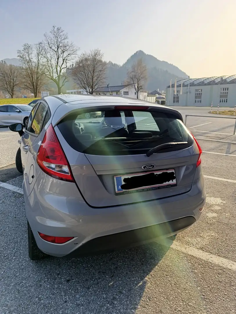Ford Fiesta Fiesta Trend 1,4 TDCi DPF Trend Grau - 2