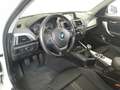 BMW 116 d eff.dynamics Sport 5p Blanc - thumbnail 7