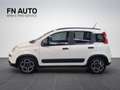Fiat Panda 1.0 FireFly S&S Hybrid City Life Bianco - thumbnail 3