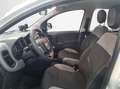Fiat Panda 1.0 FireFly S&S Hybrid City Life Bianco - thumbnail 9