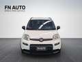 Fiat Panda 1.0 FireFly S&S Hybrid City Life Bianco - thumbnail 2