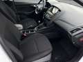 Ford Focus 1,0 EcoBoost 74kW Business/Klima/Tempomat Bianco - thumbnail 11