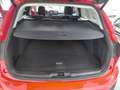 Ford Focus Turnier Active * NEUES MODELL * Rot - thumbnail 16