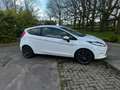 Ford Fiesta 1.25 Limited Wit - thumbnail 2