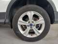 Ford Kuga 1.5 EcoB. Auto S&S Trend 4x2 150 Blanco - thumbnail 12