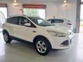 Ford Kuga 1.5 EcoB. Auto S&S Trend 4x2 150 Blanco - thumbnail 3