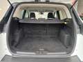 Ford Kuga 1.5 EcoB. Auto S&S Trend 4x2 150 Blanco - thumbnail 17