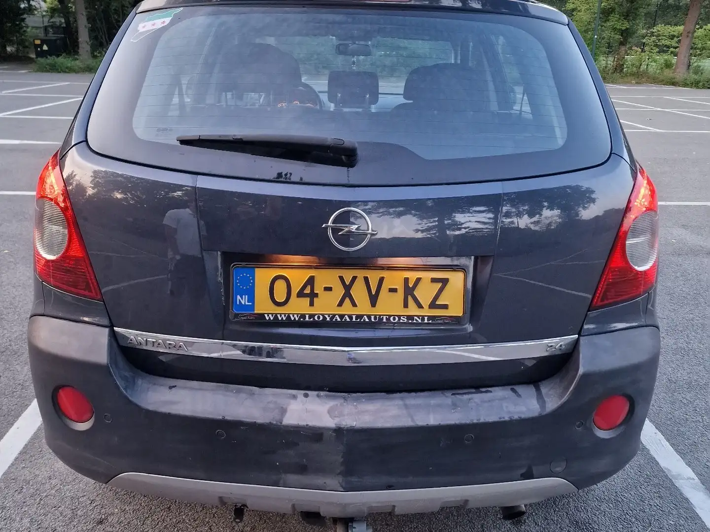 Opel Antara 2.4-16V Enjoy Blauw - 2