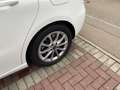 Mercedes-Benz B 250 B 250 7G-DCT Edition 19 Weiß - thumbnail 4